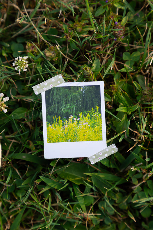 Mother Nature Polaroid Sticker