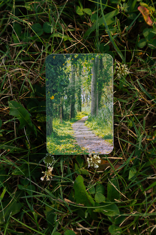 Enchanted Trail Sticker