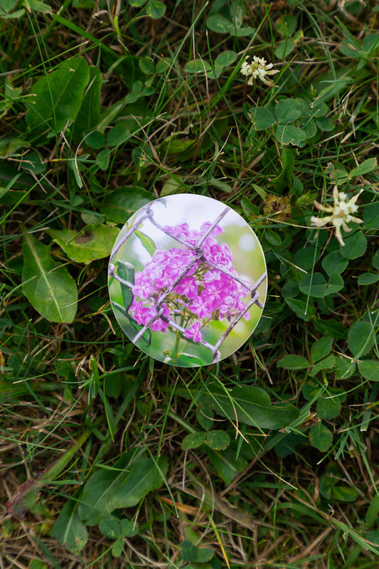 Caged Flower Sticker