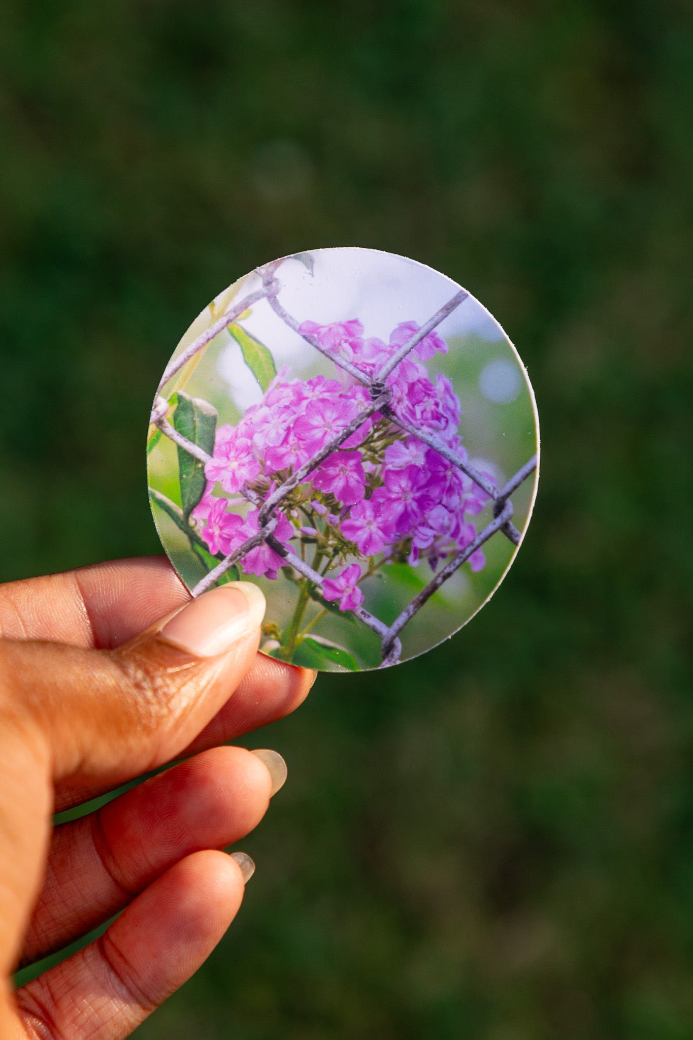 Caged Flower Sticker