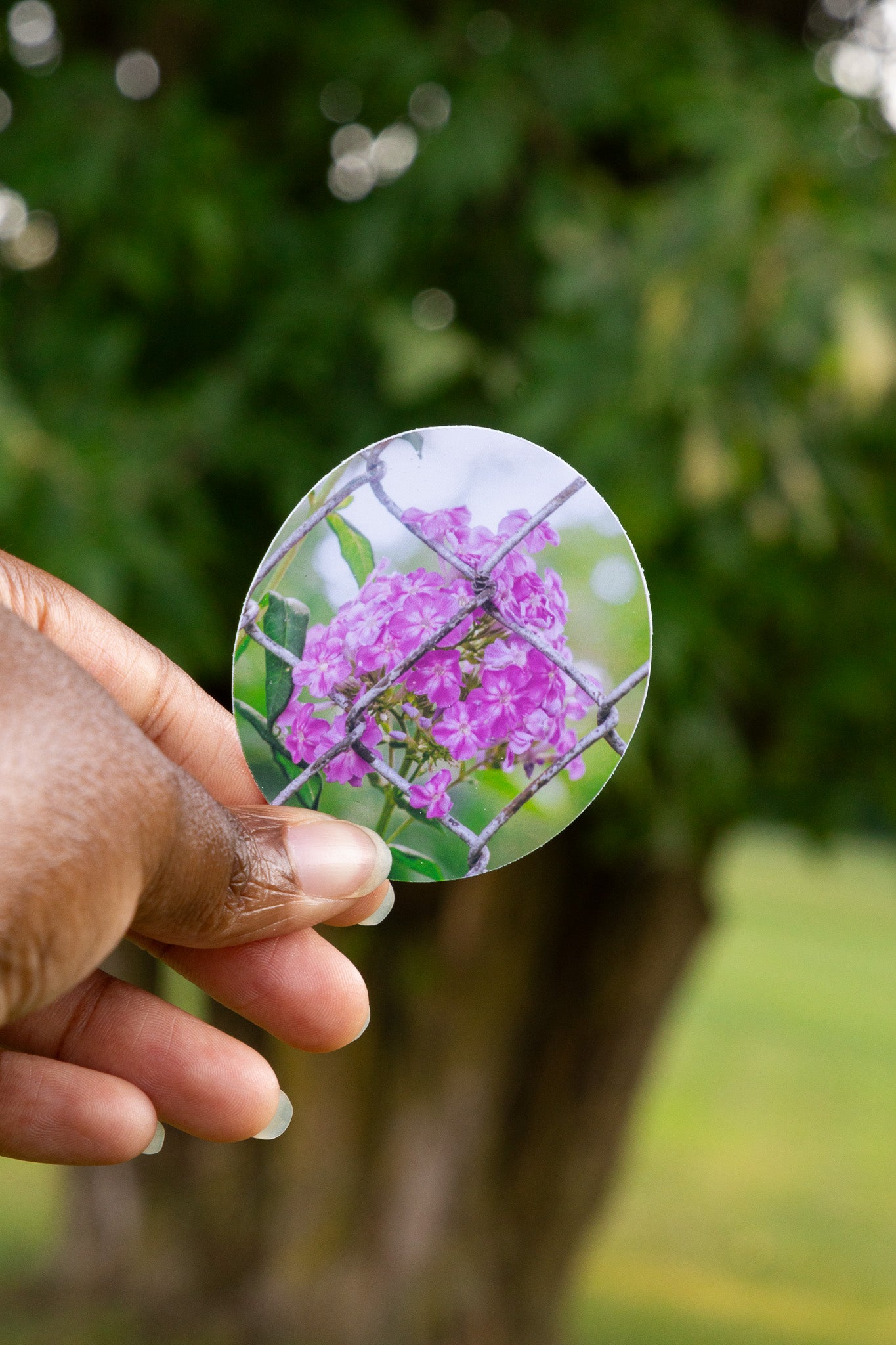 Caged Flower Sticker