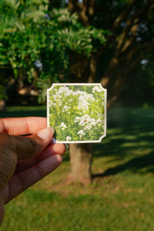 Wildflowers Sticker