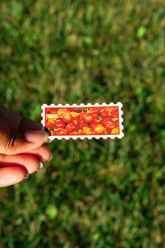 Honeycrisp Apple Stamp Sticker