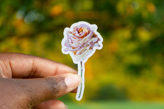 Dried Rose Sticker