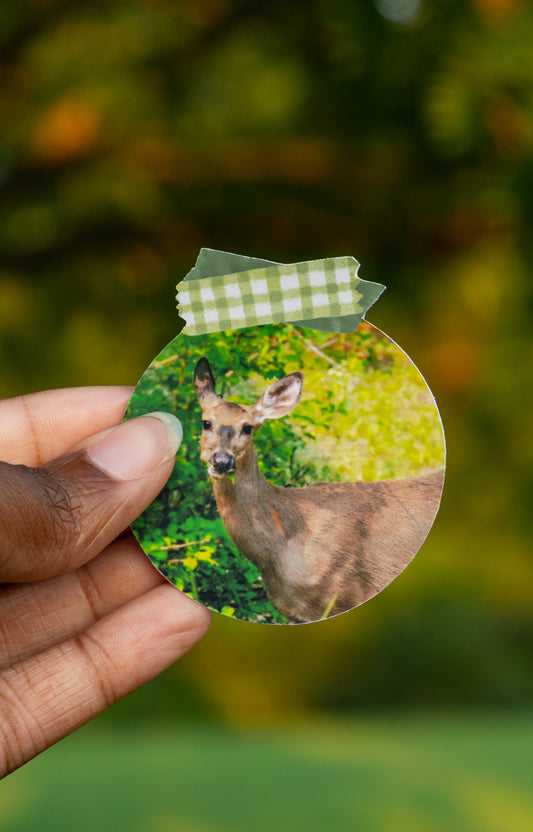 Hungry Deer Sticker