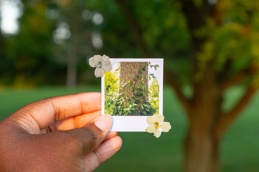 Nature Escape Polaroid Sticker
